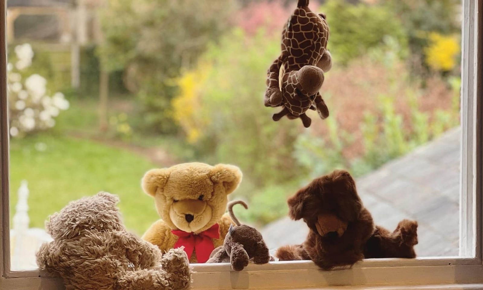 A malapena ce l'ha fatta - Una famiglia su cinque ritarda i viaggi per i peluche smarriti