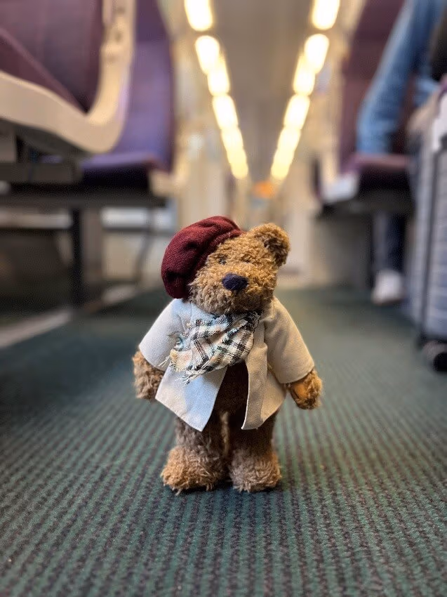 Bearly made it - One in five families delay trips over lost teddies