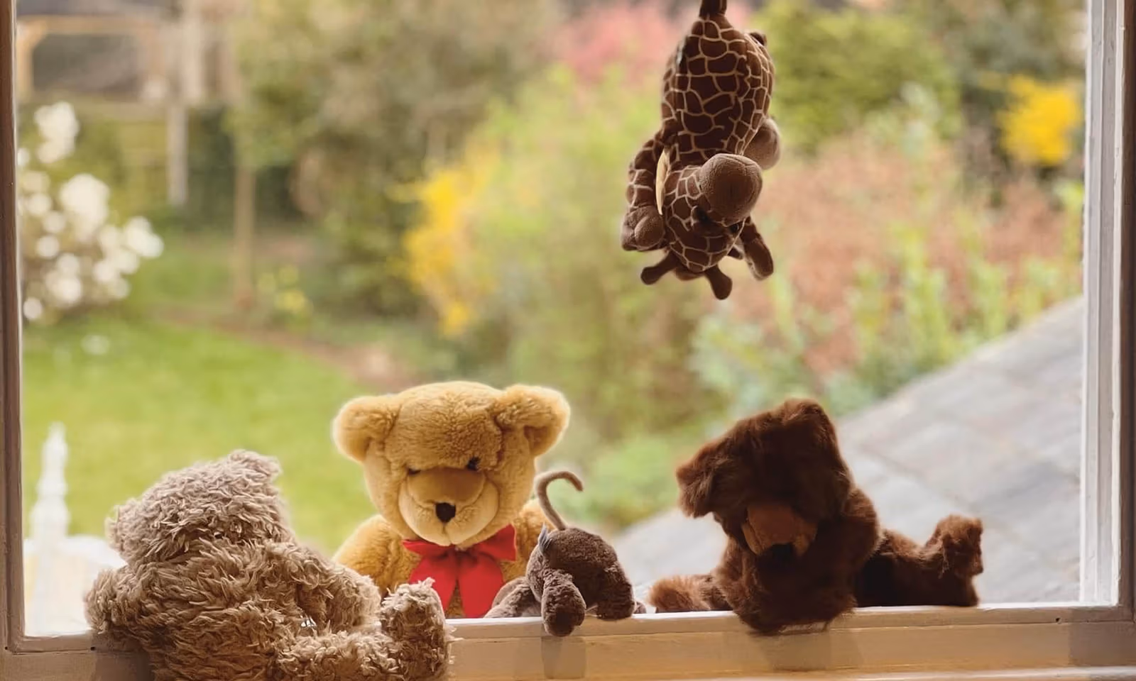 Bearly made it - One in five families delay trips over lost teddies