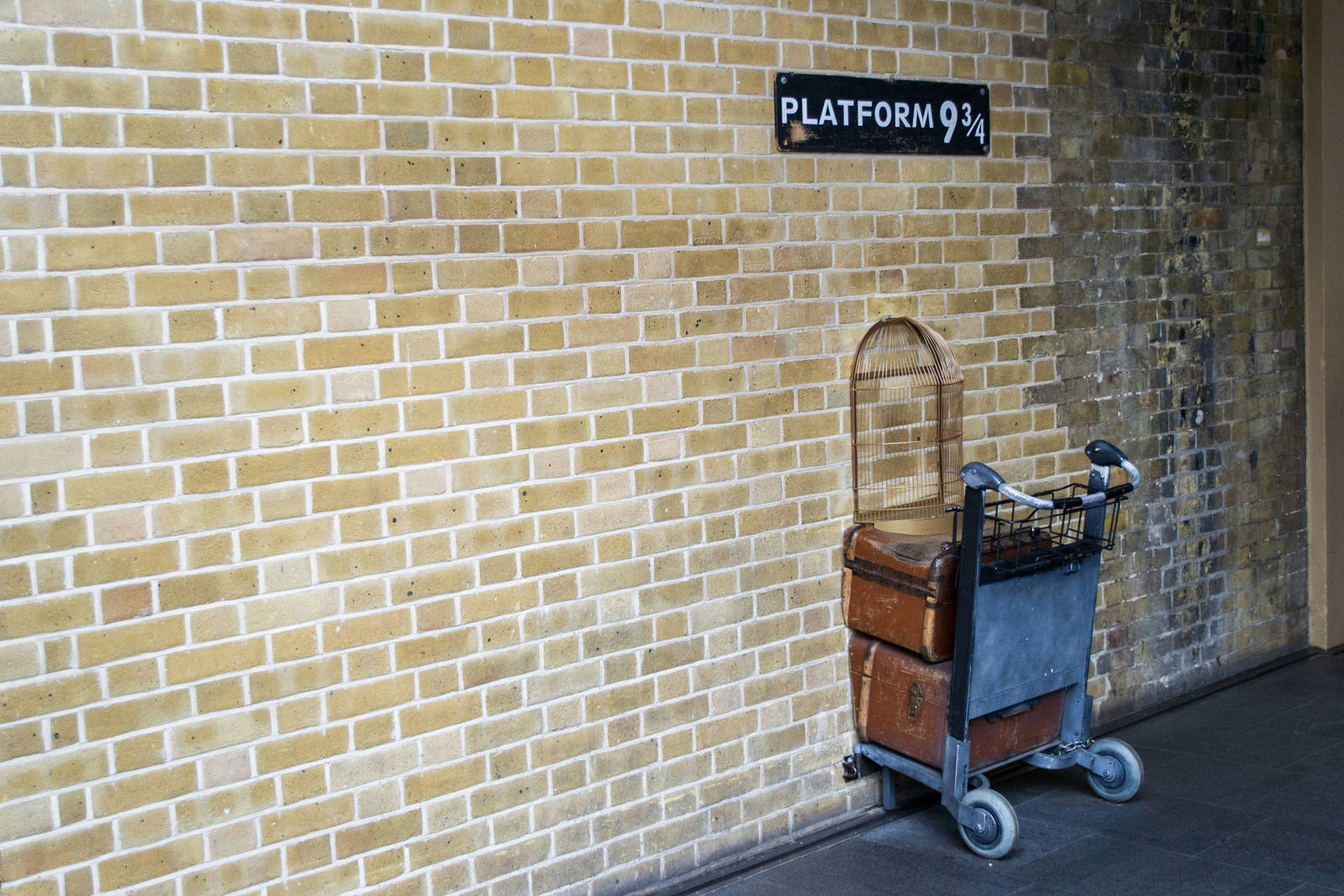 Harry Potter
