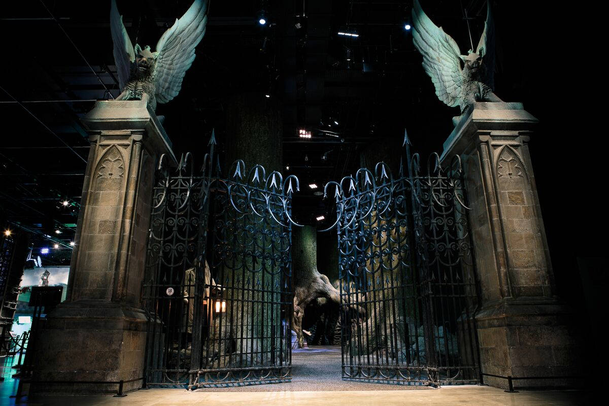 Harry Potter
