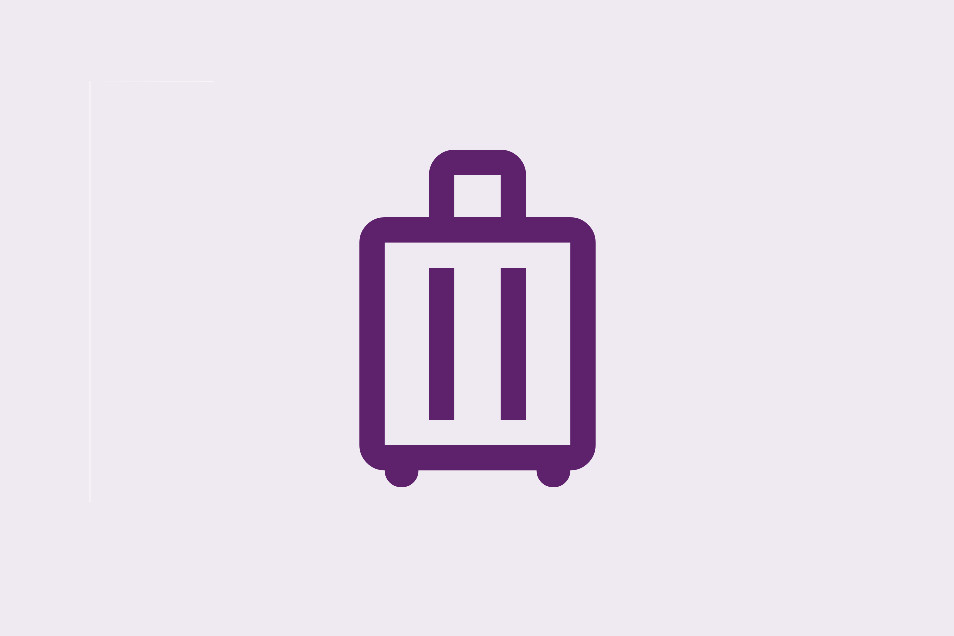 Luggage