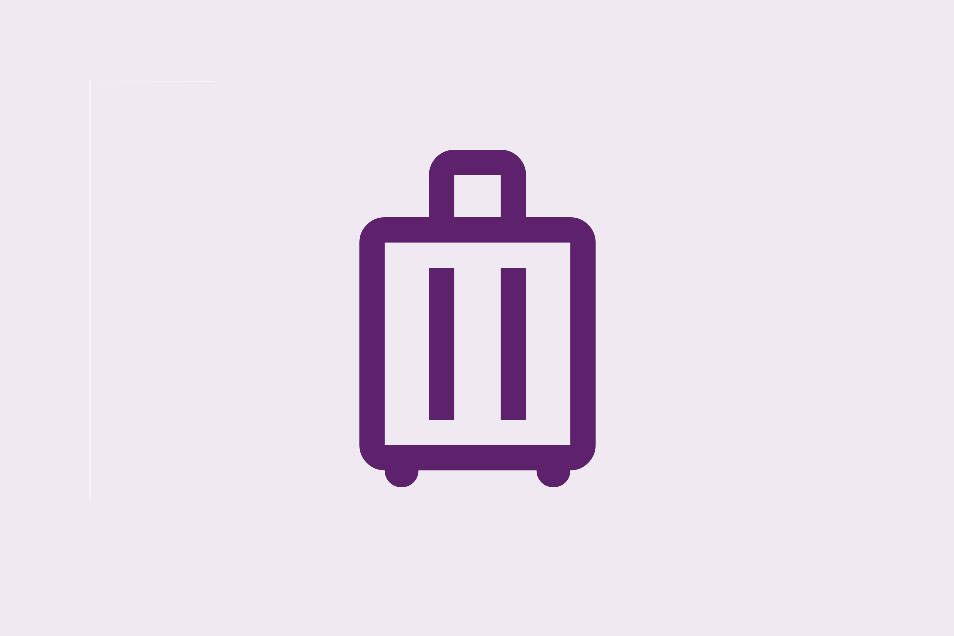 Luggage