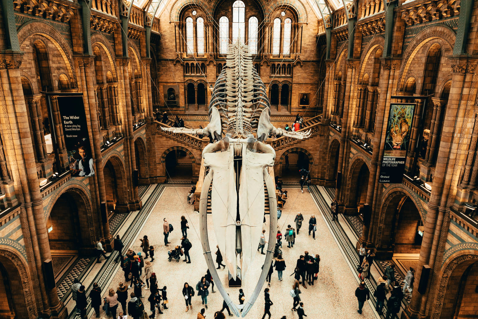 Museo de Historia Natural