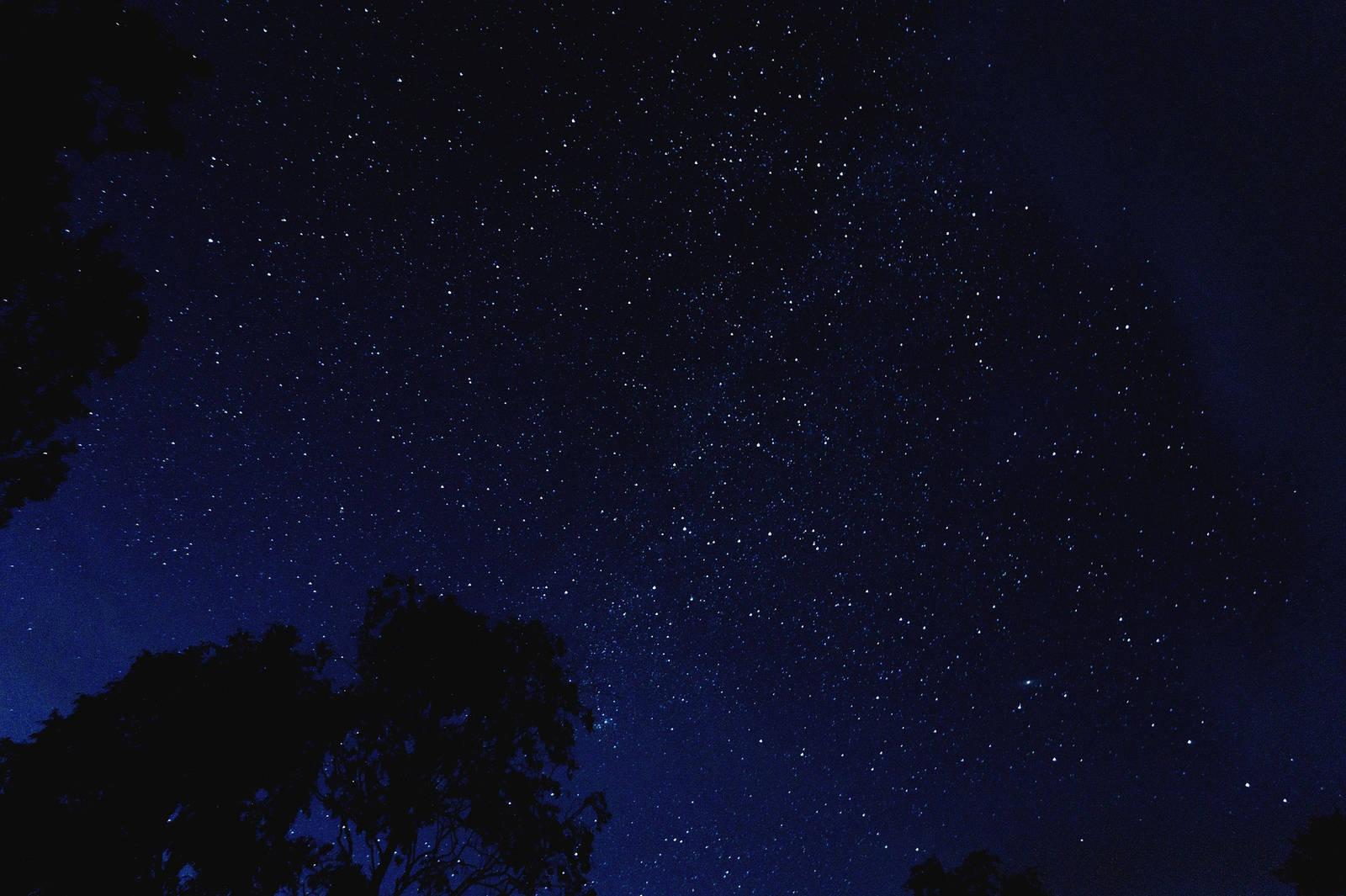 Pixabay Star Gazing